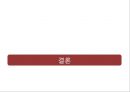 글로벌 경영 필리핀 국가 조사 위기와 기회 분석 38페이지