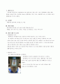 주제탐구(초등) - 패랭이꽃의 성장을 지켜보면서 2페이지