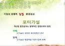 환경과 금융시장 11페이지