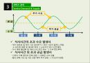 다이어트 식단 전문 식당 사업계획서 22페이지