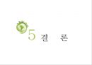푸드 마일리지와 저탄소사회 실현 22페이지