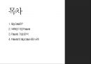 Big Data전문 기업 팔란티어 Palantir 2페이지