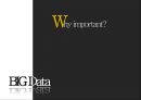Big Data전문 기업 팔란티어 Palantir 4페이지