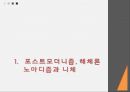 니체의 사상과 정치대한 이해 3페이지