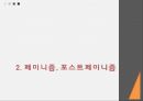 니체의 사상과 정치대한 이해 15페이지