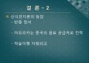 시진핑정부 중국의 외교정책(기본대외전략.시대별변화.미국.일본.북한.한국.개발도상국) 34페이지
