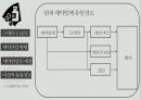 제약산업 채널 디자인 13페이지