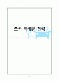 쏘카 마케팅 전략 1페이지