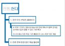 한류 허브 30페이지