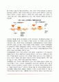 뉴런의 기능과 구조 4페이지