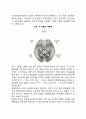 시각의 신경해부학적 구조(안구의 구조와 망막, 안구 이후 시각정보처리경로) 3페이지