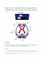 시각(시각경험, 눈의 구조와 기능, 물리적 자극) 4페이지