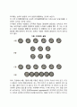 유아기 보존개념과 수개념 발달(유아의 보존개념, 수개념, 인과관계 이해의 발달) 3페이지