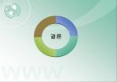 핵개발. 29페이지