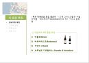 이탈리아 외식문화의 이해 13페이지