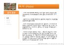 이탈리아 외식문화의 이해 47페이지
