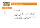 이탈리아 외식문화의 이해 53페이지