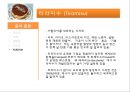 이탈리아 외식문화의 이해 55페이지