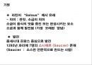 소스의 이해 4페이지
