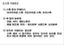 소스의 이해 10페이지