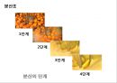 소스의 이해 19페이지