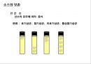 소스의 이해 31페이지