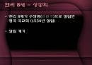 북아일랜드 종교분쟁 12페이지