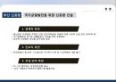 물류정책 역사적 전개,현황 & 단기.중장기 전략 52페이지
