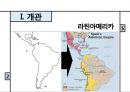 라틴아메리카의 근대 이민사 멕시코, 페루, 브라질 3국을 중심으로 5페이지