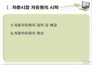 거시 건전성 규제를 통한 자본 유출입 안정화 방안 3페이지