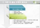 거시 건전성 규제를 통한 자본 유출입 안정화 방안 8페이지