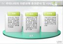 거시 건전성 규제를 통한 자본 유출입 안정화 방안 21페이지