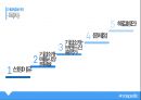 아모레 퍼시픽 신흥국진출전략 2페이지