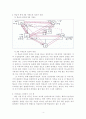 보웬의 다세대 가족치료 가계도 및 실제 사례 4페이지