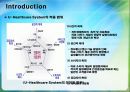 Ubiquitous Healthcare System (유비쿼터스 헬스 케어 시스템) 4페이지