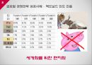 소비자와 글로벌마켓 기업의 글로벌 경영 전략 8페이지