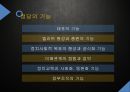 선거제도와 정당정치 (선거제도와 정당정치) 13페이지
