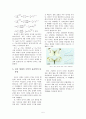 [고등학생 대학입시 학종 논문] 배추흰나비 생김새에 대한 탐구 5페이지