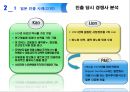 P&G 전략경영 사례 분석 15페이지
