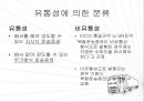 복합운송인 32페이지