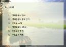 생태관광 - 창녕 우포늪 [생태관광] 2페이지