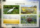 생태관광 - 창녕 우포늪 [생태관광] 7페이지