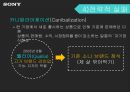 소니의 추락과 재기전략 - 소니의 추락과 재기전략 48페이지