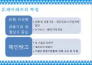 한국 재벌과 일본의 게이레츠 - 게이레츠 12페이지