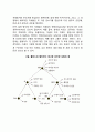 지식 표상(심적 회전, 서술적 지식과 절차적 지식, 개념의 범주화와 위계) 3페이지