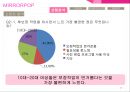 커뮤니케이션 기획서 : 삼성전자 미러팝 광고 커뮤니케이션 기획서 17페이지