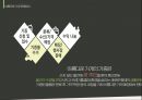 [사회적 기업의 이해] 사회적 기업의 이해와 소비자의 역할 13페이지