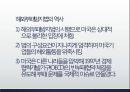 록히드 사건과 해외부패방지법 19페이지