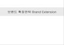 브랜드 확장전략 Brand Extension - 브랜드 확장전략 1페이지
