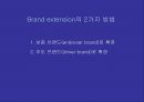 브랜드 확장전략 Brand Extension - 브랜드 확장전략 12페이지